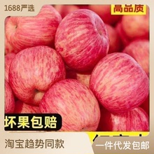 山東煙台紅富士蘋果新鮮水果產地批發脆甜可口正宗紅富士蘋果水果