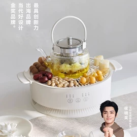 油壶;野餐炉具;养生壶