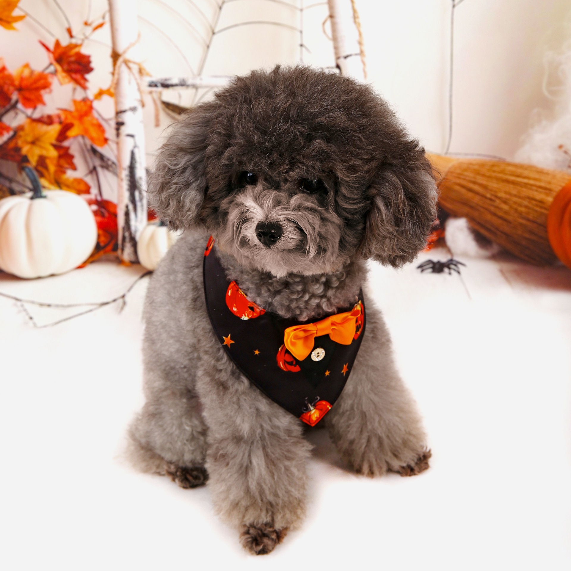 Halloween nuevo traje de mascotas toallas triangulares toallas de saliva collar de mascotas fábrica de ropa de perro en stock