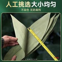 干粽叶大码粽子叶免邮新鲜麻竹箬叶商家用包粽子材料端午批发送绳