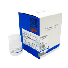 B501005-0500����DEPC ����ˮ500ml