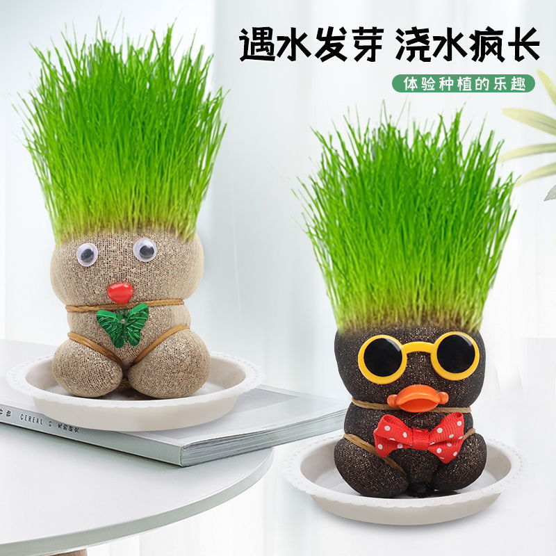 Red césped muñeca de escritorio mini planta de riego hierba larga oficina de plantas verdes balcón interior creativa pequeña maceta
