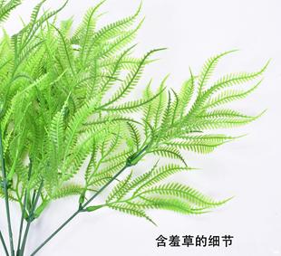 ϲ ֲﴺֲ Pβˮ 廨ˇ