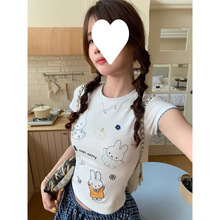 nϵײɫ߅ɐ׷Ӵ̽tŮļ