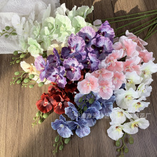 �W�t��Wʽ���^�����m��c�Ҿ��b��滨С�t��ͬ��ٻ��羳���Q