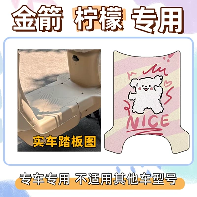 Electric vehicle foot mat | Mats
