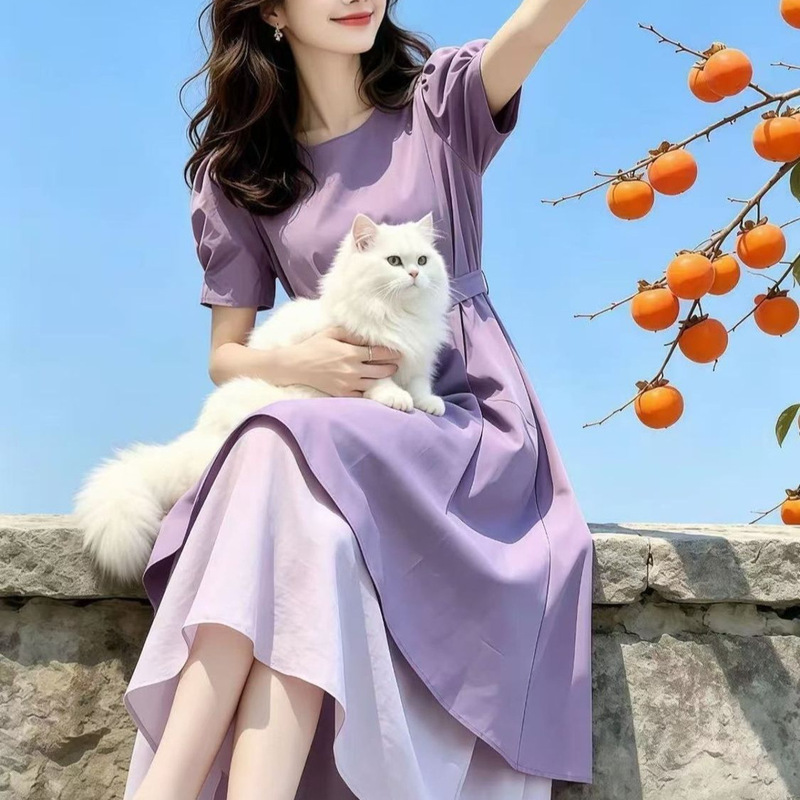 French-style irregular niche purple dress for women, 2026 summer new fashion design, super stylish long dress 9618 French-style irregular niche purple dress for women, 2026 summer new fashion design, super stylish long dress 9618