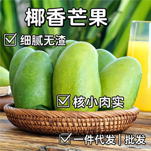���ϲ����GƤҬ���u��â�������r�u��âˮ��â��տ������һ�����l