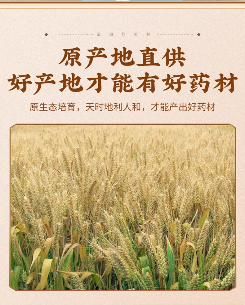 Dried Malt Barley Sprout Mai Ya 500g Traditional Chinese Herb for Decoction and Herbal Tea key features