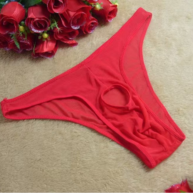 Sous-vêtements sexy transparents pour hommes, slips triangle en maille haute élasticité, strings dos nageur_voghion.com
