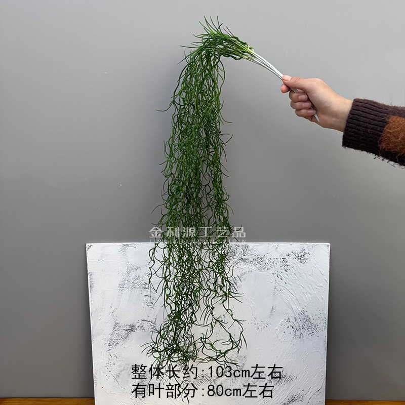 매달린 공기 잔디 짙은 녹색