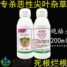 华星皇榜24%烯草酮希草铜烯草烔大豆油菜田芦苇牛筋草专用除草剂