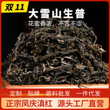 ննҰmɢlѩɽ/߅ࡿ