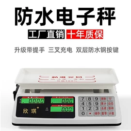 厨房秤;手提秤;计价秤