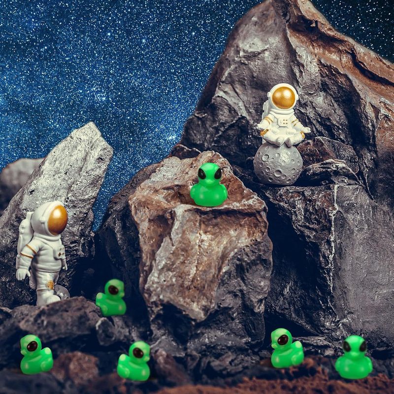 跨境新款外星人鸭子微景观diy盆景小摆件 树脂工艺品造景配件动物|undefined