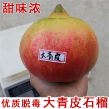 شƤʯͻ˹ܛʯͥԺӟoʯ