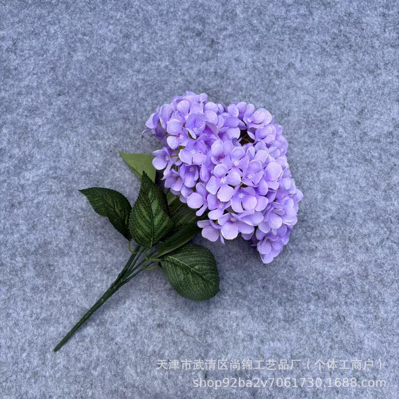 보라