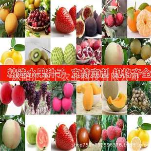 ���羳��؛��ˮ���N�ӻ����N�Ӹ������Ӱ���������ٙ��ҙ��ʗ���