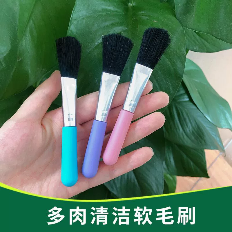 Садовые инструменты Пластиковая мясистая щетка Цвет Микро Пейзаж Зеленое растение Посадка для удаления пыли