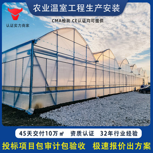 BﱡĤβժϹNֲ߲ҴǼrI