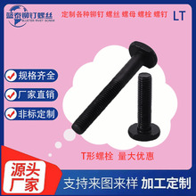 ��ˮ�������������۱ò��P�T�͎�����˨DIN261-2010T�Ͳ�����˨