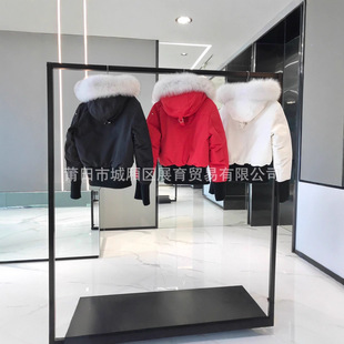 2025�߰汾���ô��y����������q��03��Ůʿ�̿�����������������