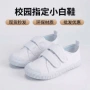 防滑男女环保春夏舞蹈鞋