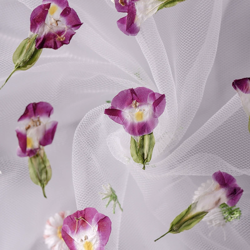 Ся Цзинь настоящий цветок с тиснением Детский обучающий образец растения материал капля клей сушеный цветок чехол для мобильного телефона DIY