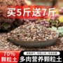 鹿沼多肉火山岩营养土麦饭石