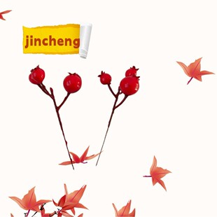 �����}�Q�tɫ�{��10cm����ʯ�����c3��t���zӰ����������˼