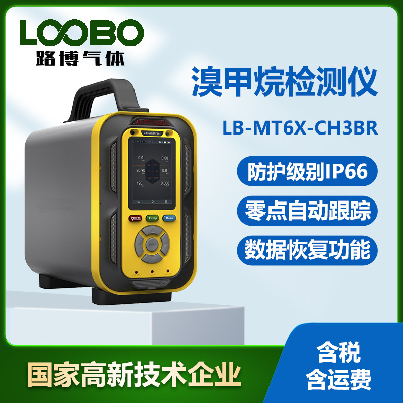 手提泵吸式溴甲烷气体检测仪便携式溴甲烷浓度报警器气体监测仪