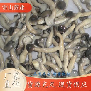 ���Ƽ��� Ģ�����a���ع��� �Ƶ����^������ζ �S�����l