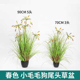 跨境仿真仿真狗尾巴草 仿真芦苇草 洋葱草 仿真绿植 北欧仿真植物