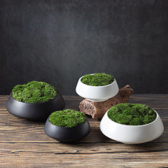 モダン北欧新中式永遠の苔植物盆栽ホームモデルルームリビングルーム書斎卓上装飾フラワーアート