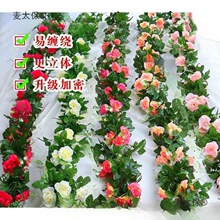 ���Ӿ�·���o���ړ����{��ȼ���ڳ��҃��������b�ˮ��������̫��