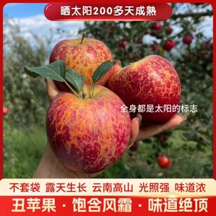 (��Ʒ1����)�����ͨ���O�����������ڳ��O�����r�t��ʿ������]