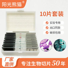 �@΢�R��������Ƭ�˱� ���Ϻ�10Ƭ�b �¾���С�W����̲�����