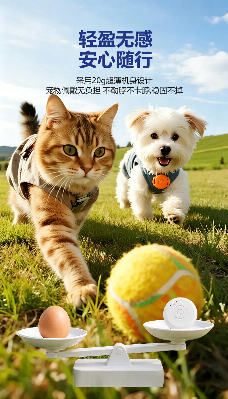 Mini GPS pet locator, anti-lost device for dogs, cat collar, waterproof tracker for lost pets