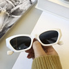 Sunglasses, fashionable retro universal glasses, European style, cat's eye