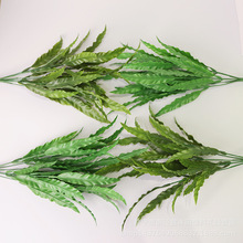 ����ާ�ֲ���҃Ⱦ��^������ĺ����ݼҾ�����廨���[�O���ϼٻ�