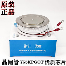 Y55KPGOT Y55KPG Y55KP KP1500A ��ͨ��բ��/�ɿع�