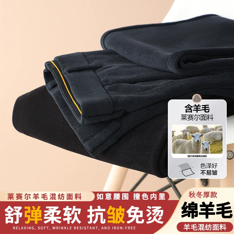 Толстая Шерсть Лиоцелл 2023 Осень-Зима Новые Деловые Повседневные Прямые Брюки Повседневные Брюки