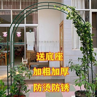 ���P�Fˇ���T���ٻ����ӑ����b��@�����T�Ň���ͥԺ��ز����