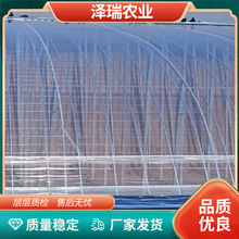 �o��Ĥ�����ؿ��ϻ�͸��ô����rĤ�Nֲ����Ҵ���