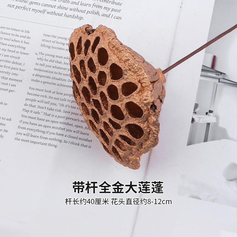 막대가 있는 풀 골드 로터스