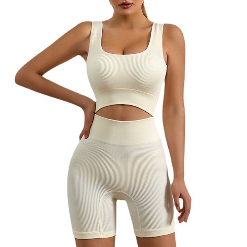 Sports Bra for Women, Shockproof and Non-Sag, Running and Yoga Back Support Bra, Wireless, Beautiful Back Fitness Bra Set