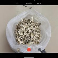 古田厂家直发干净无沙干货鸡腿菇 精挑规格鸡腿菇福建食用菌批发