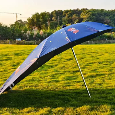 Elektromobil üçün ön şüşə çətiri (günlük) – Vehicle Canopy, Battery Vehicle Umbrella - vinyl-cartoon-single-umbrella-30-frame-little-girl-extended-length-straight-165m