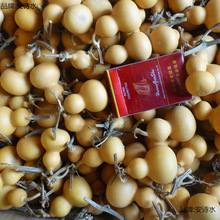 Ұ����Ȼ��������С���J�Π�����F��������[��������J�]��覴�