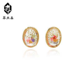 翠天晶 925银 小众法式透明干花留春耳钉时尚百搭 高端系列小红书